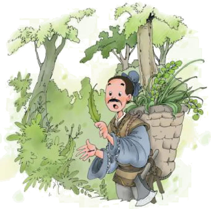 壶盖为什么会动 课本插图